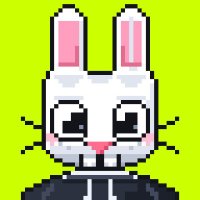 Pixel Bunz
